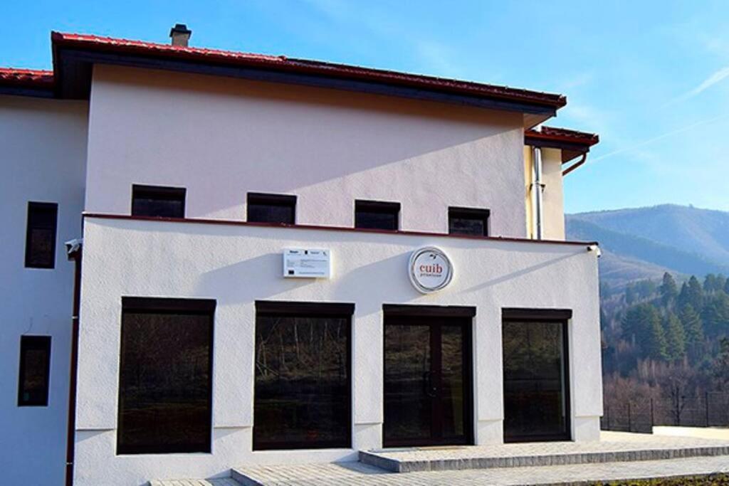 Pensiunea Cuib Cisnadioara Buitenkant foto
